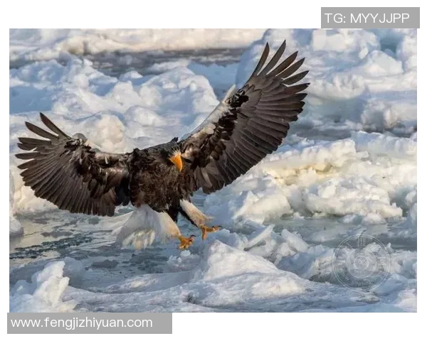 2023年度全球足球明星新星排名揭晓引发热议与期待