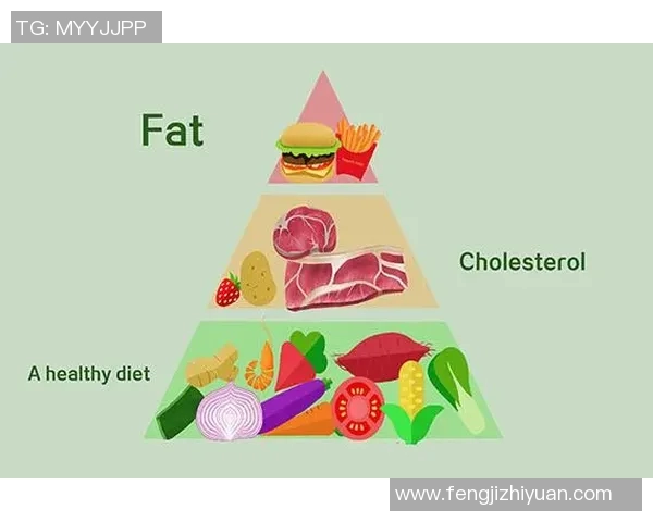 全面提升身体素质的体育锻炼健康手册助你塑造完美体型与增强免疫力